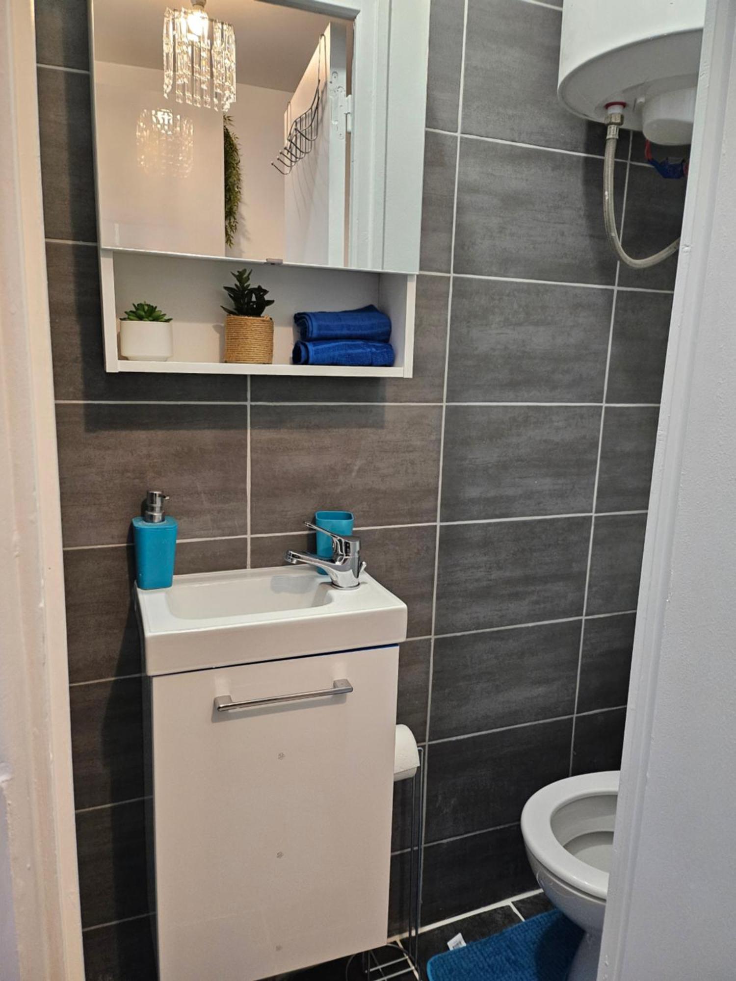 Appartement Calme A 10Mn A Pied De La Villette Le Pré-Saint-Gervais 部屋 写真