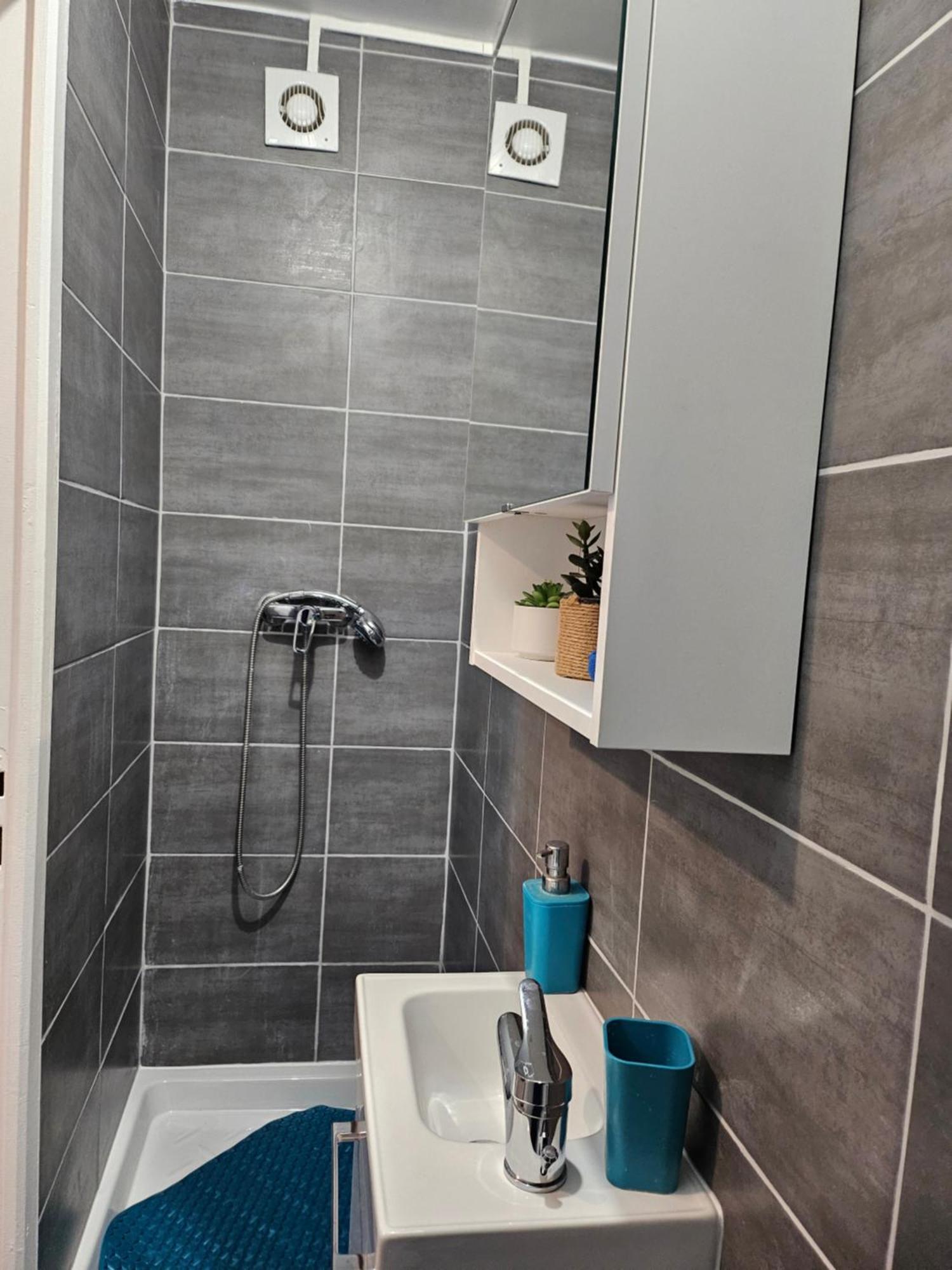 Appartement Calme A 10Mn A Pied De La Villette Le Pré-Saint-Gervais 部屋 写真